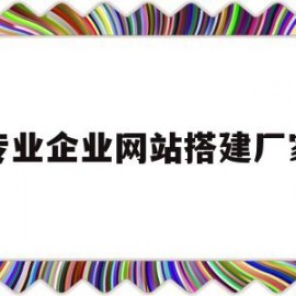 专业企业网站搭建厂家(网站搭建 公司)