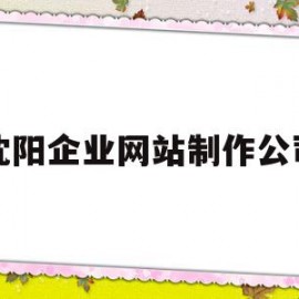 沈阳企业网站制作公司(沈阳企业网站seo公司)