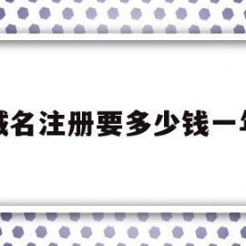 域名注册要多少钱一年(域名注册费用一年多少钱)