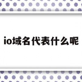 io域名代表什么呢(io域名为什么这么贵)