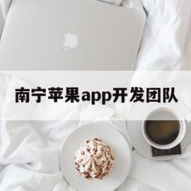 南宁苹果app开发团队(南宁app开发公司)