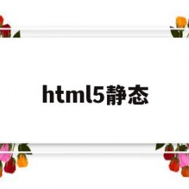 html5静态(HTML5静态网页)