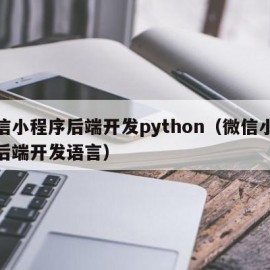微信小程序后端开发python（微信小程序后端开发语言）