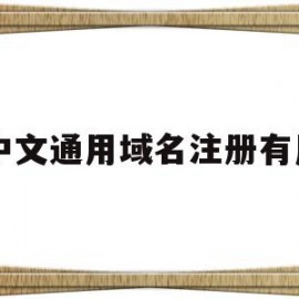 中文通用域名注册有用(中文域名可以注册别人的商标吗)