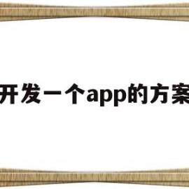 开发一个app的方案(开发一个app的过程)