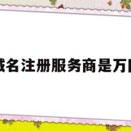 域名注册服务商是万网(域名注册服务网站哪个好)