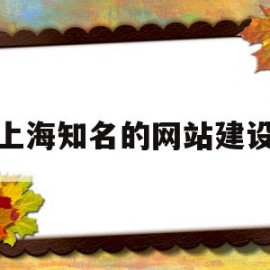 上海知名的网站建设(上海知名的网站建设企业)