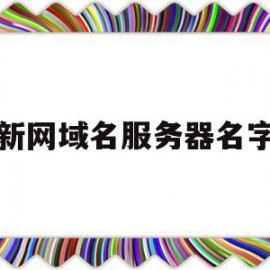 新网域名服务器名字(服务器域名是什么样子)