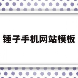 锤子手机网站模板(锤子手机网站模板下载)