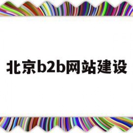 北京b2b网站建设(北京b2b网站建设现状)