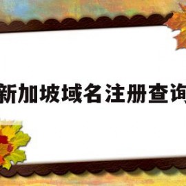 新加坡域名注册查询(新加坡域名注册查询网站)
