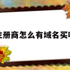 注册商怎么有域名买呢(注册域名买卖合法吗?)