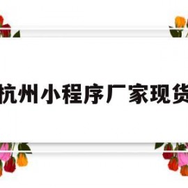 杭州小程序厂家现货(杭州小程序公司批发)