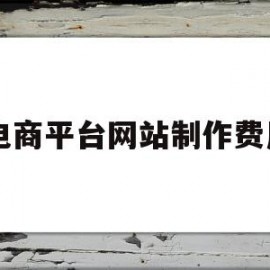 电商平台网站制作费用(电商网站开发需要多少钱)