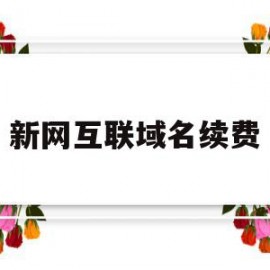 新网互联域名续费(新网互联域名证书查询)