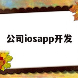 公司iosapp开发(公司苹果开发者账号申请流程)