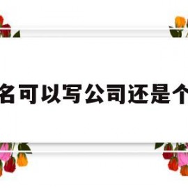 域名可以写公司还是个人(域名可以由个人转公司吗)