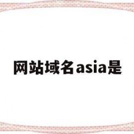 网站域名asia是(域名china)
