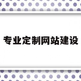 专业定制网站建设(专业定制网站建设的目的)