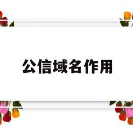 公信域名作用(公共的域名服务器)