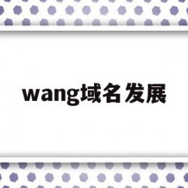 wang域名发展(域名对应的网站性质)