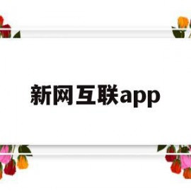 新网互联app(新网互联科技有限公司)