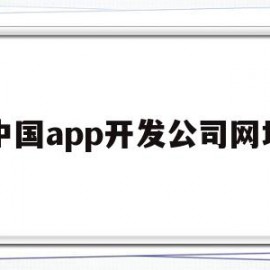 中国app开发公司网址(中国app开发公司网址是多少)