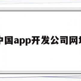 中国app开发公司网址(中国app开发公司网址是多少)