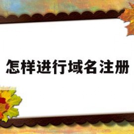 怎样进行域名注册(怎样进行域名注册登录)