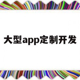 大型app定制开发(app定制开发需要多少钱)