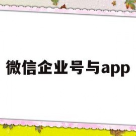 微信企业号与app(微信企业号与服务号的区别)