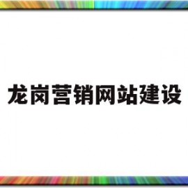 龙岗营销网站建设(龙岗营销网站建设公司)