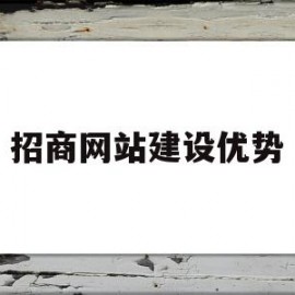 招商网站建设优势(建材检测网站建设优势)