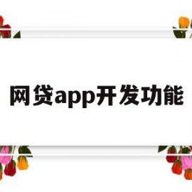 网贷app开发功能(网贷app开发功能有哪些)