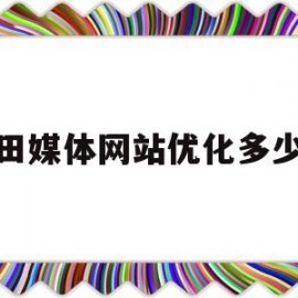 福田媒体网站优化多少钱(媒体优化过程)
