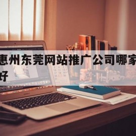 惠州东莞网站推广公司哪家好(惠州网络推广公司)