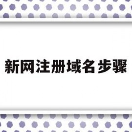 新网注册域名步骤(新网注册的域名邮箱可以更改吗)