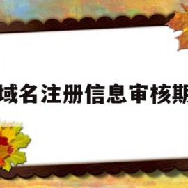 域名注册信息审核期(域名审核常规时间为多少个工作日)