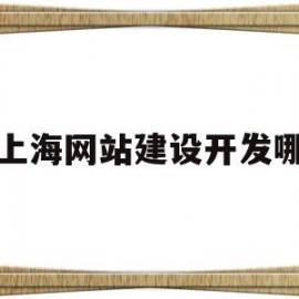 上海网站建设开发哪(上海网站建设在线咨询)