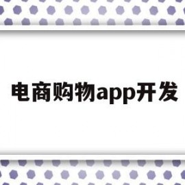 电商购物app开发(电商购物app开发公司)