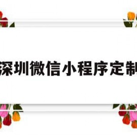 深圳微信小程序定制(深圳微信小程序定制店)