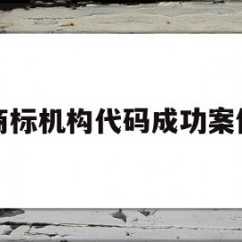 商标机构代码成功案例的简单介绍