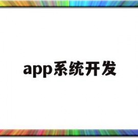 app系统开发(APP系统开发费用)