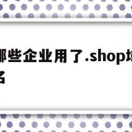 哪些企业用了.shop域名(哪些企业用了shop域名注册)