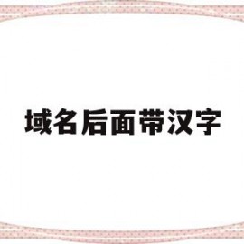 域名后面带汉字(域名后面的?a=什么意思)
