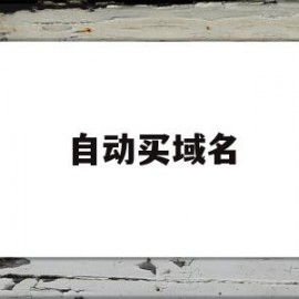 自动买域名(域名自动注册软件)