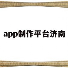 app制作平台济南(济南机场停车app平台)