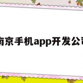 南京手机app开发公司(南京手机app开发公司招聘)