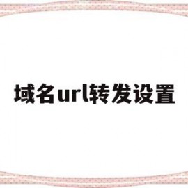 域名url转发设置(域名url转发怎么设置)