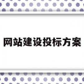 网站建设投标方案(网站建设投标书模板)